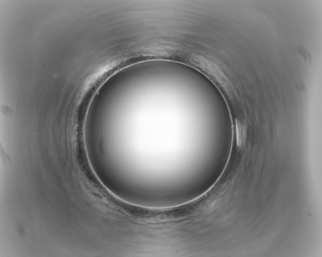 X0000090960675200708091355