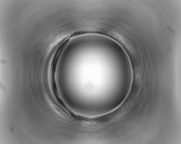 X0000090960677200708091355