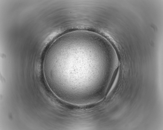 X0000090960679200708091355