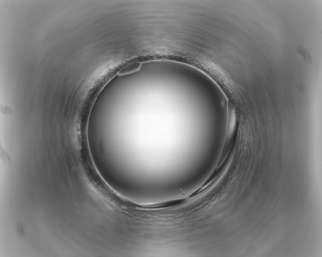 X0000090960680200708091355