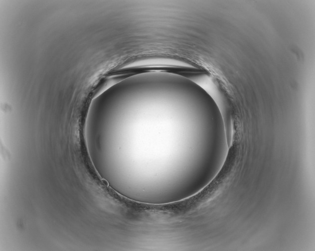 X0000090960681200708091355