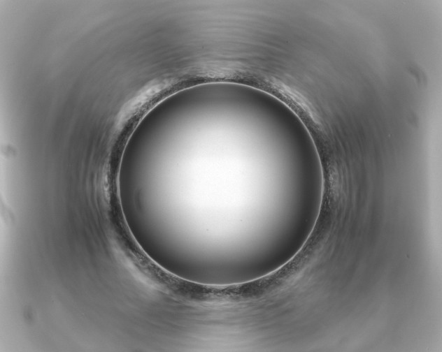 X0000090960682200708091355