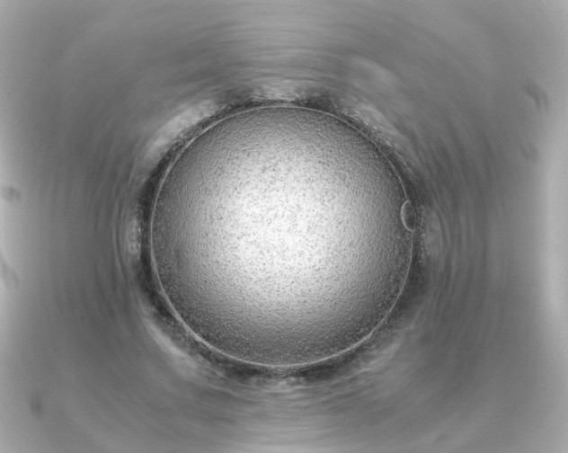 X0000090960683200708091355