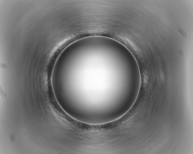 X0000090960684200708091355