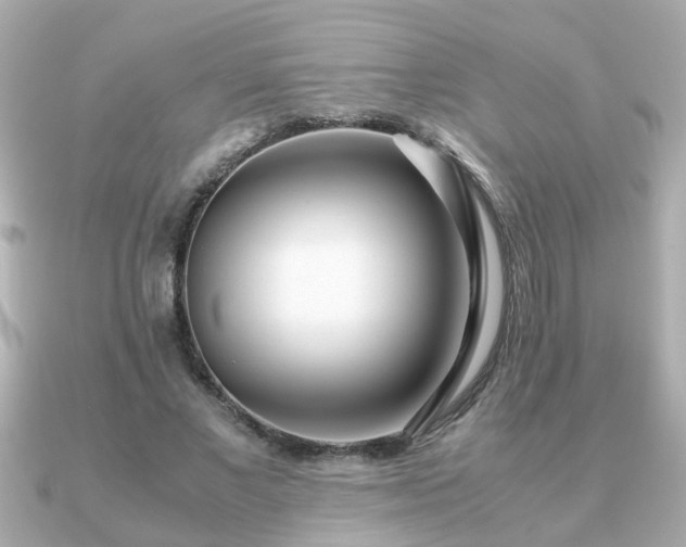 X0000090960685200708091355