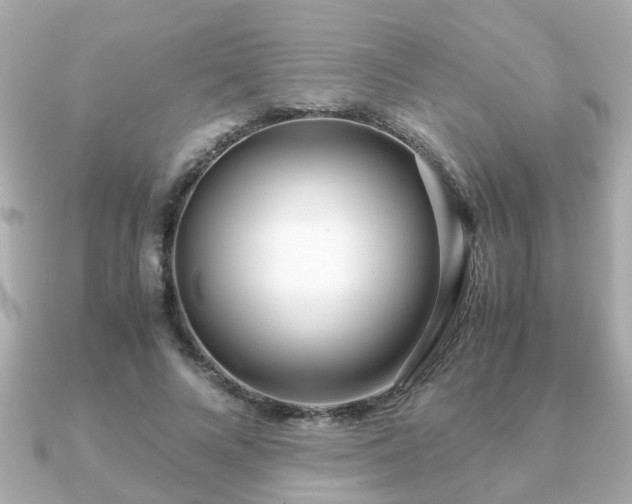 X0000090960688200708091355