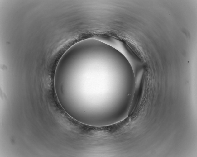 X0000090960689200708091355
