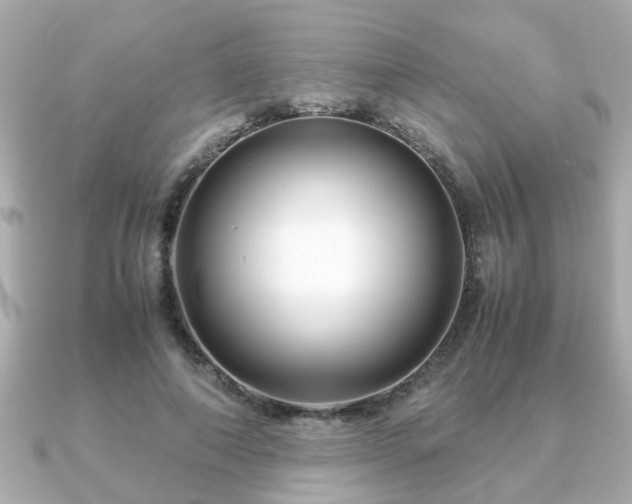 X0000090960690200708091355