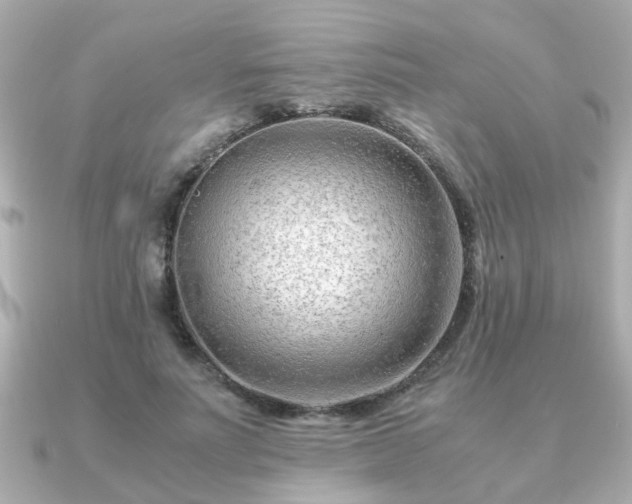 X0000090960691200708091355