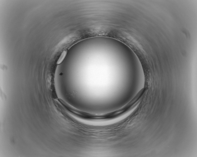 X0000090960693200708091355