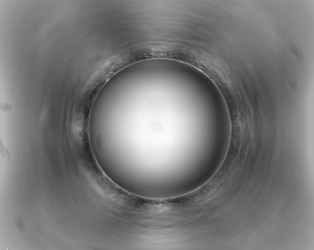 X0000090960698200708091355