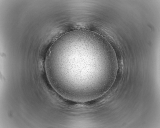 X0000090960699200708091355