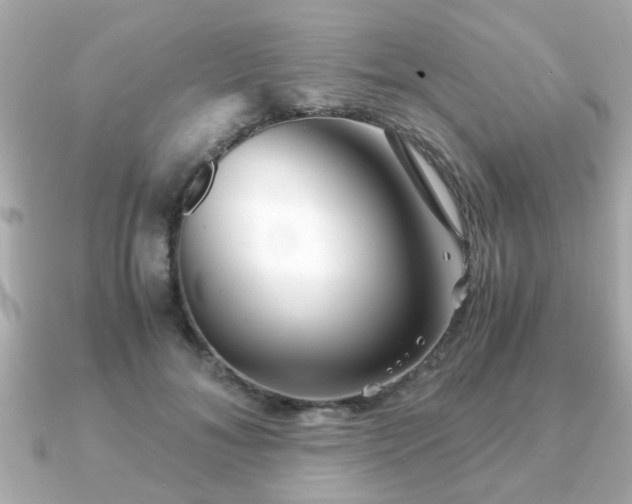 X0000090960700200708091355