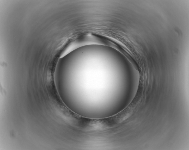 X0000090960704200708091354