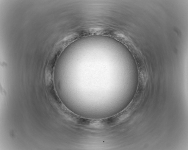 X0000090960705200708091354