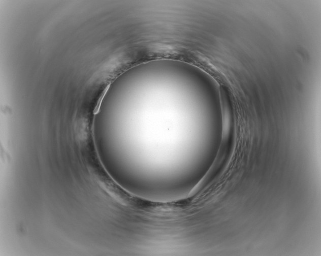 X0000090960708200708091354