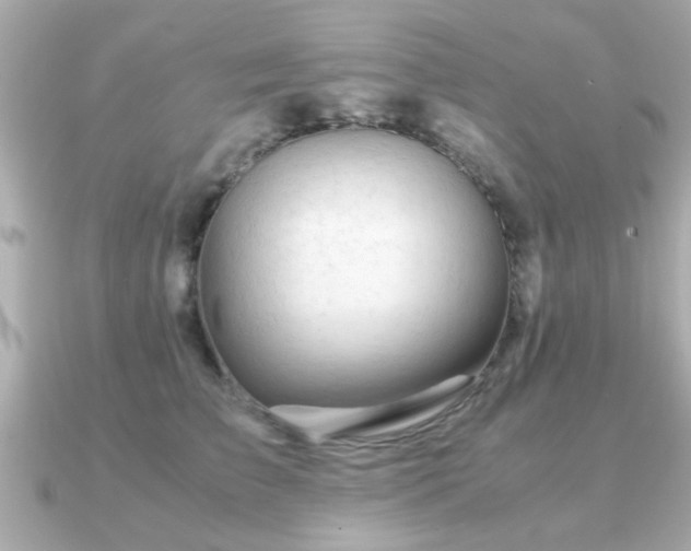 X0000090960709200708091354