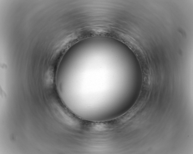 X0000090960710200708091354