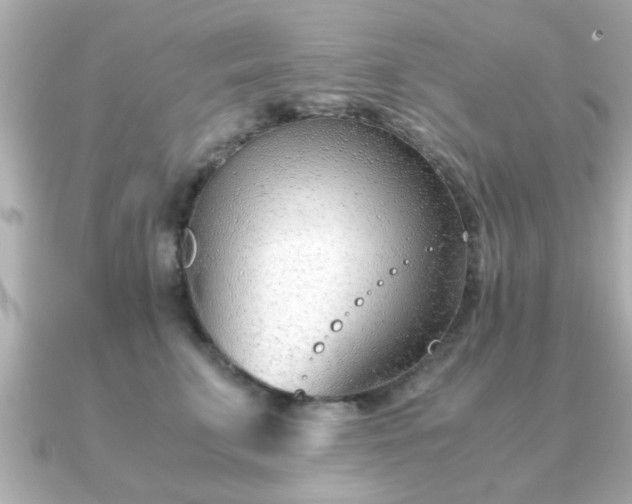 X0000090960711200708091354