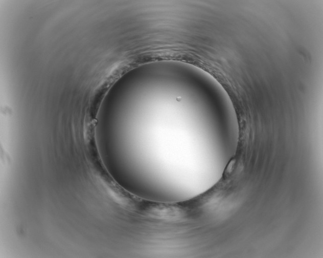 X0000090960712200708091354