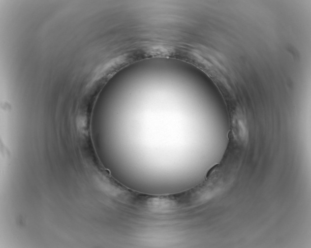 X0000090960714200708091354