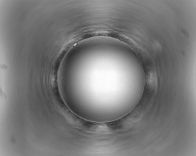 X0000090960715200708091354