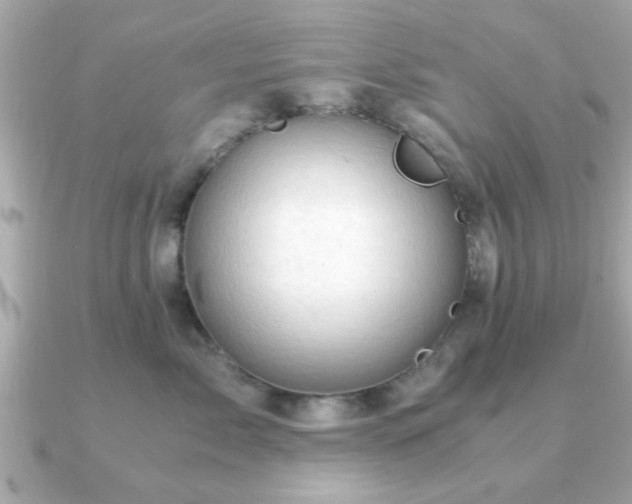 X0000090960717200708091354