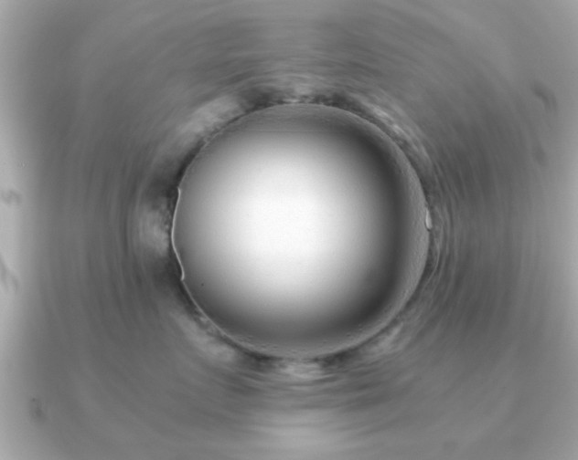 X0000090960719200708091354