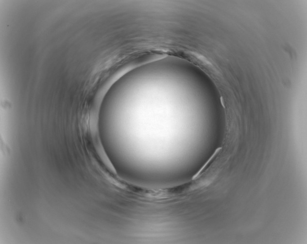 X0000090960720200708091354