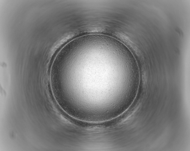 X0000090960721200708091354
