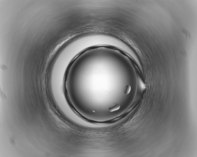 X0000090960722200708091354