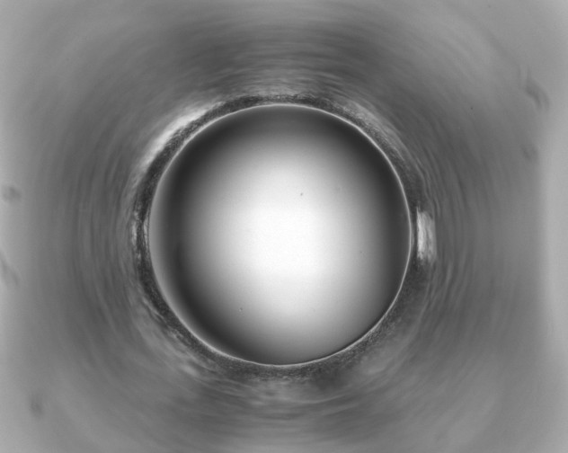 X0000090960723200708091354