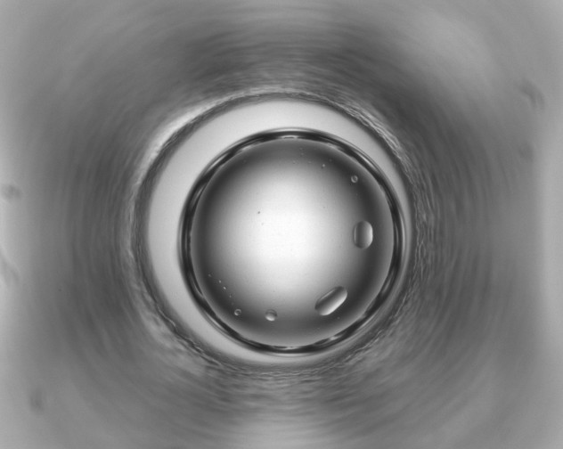 X0000090960724200708091354