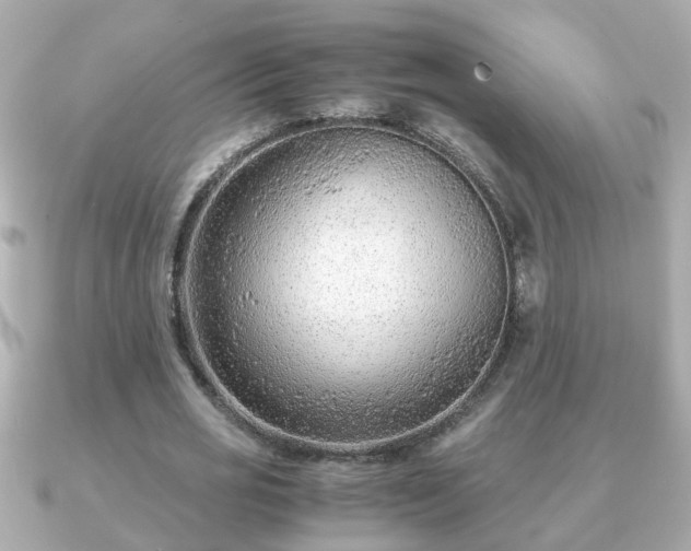 X0000090960725200708091354