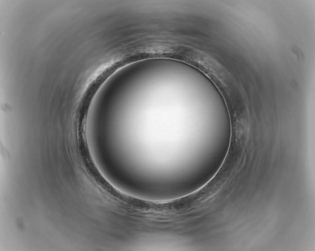 X0000090960727200708091354
