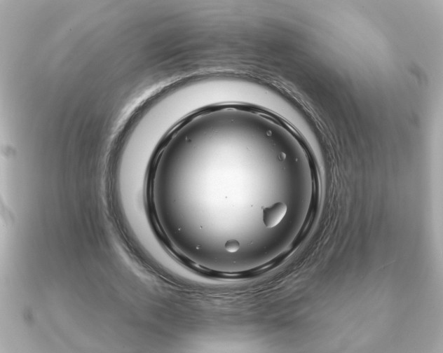 X0000090960728200708091354