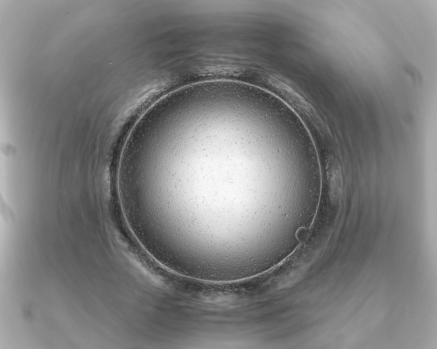 X0000090960729200708091354