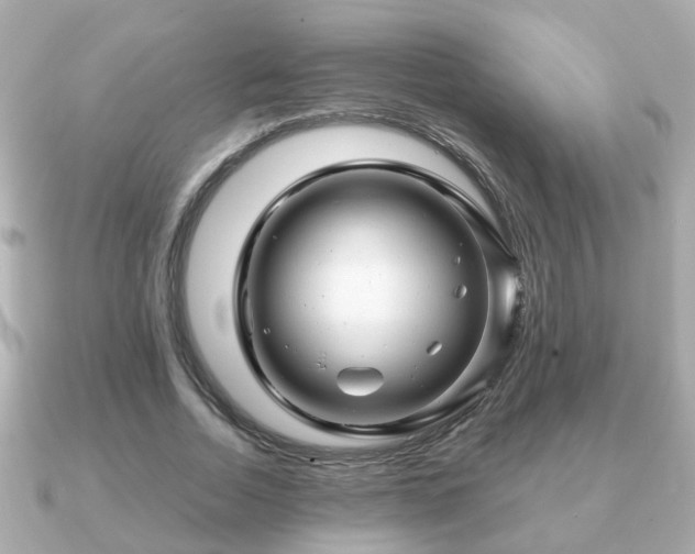 X0000090960730200708091354