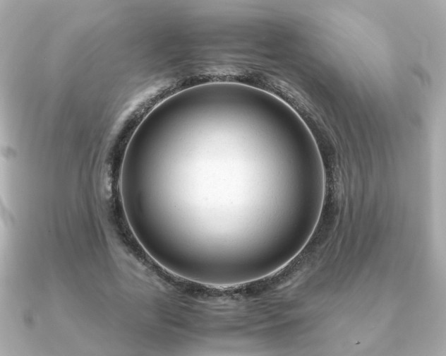 X0000090960731200708091354