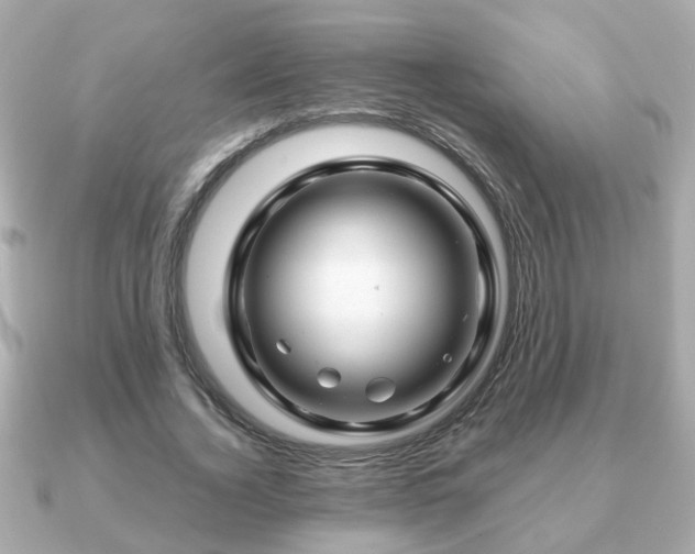 X0000090960732200708091354