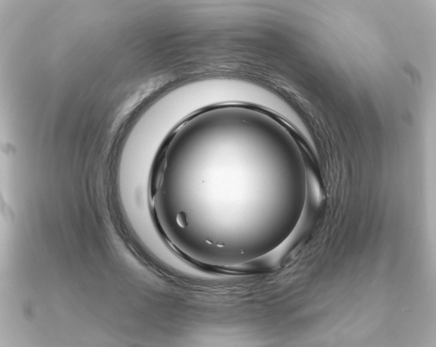 X0000090960734200708091354
