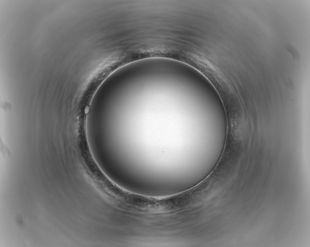 X0000090960735200708091354