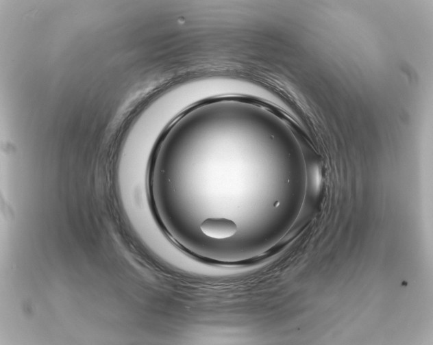 X0000090960736200708091354