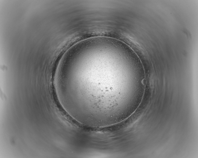 X0000090960737200708091354