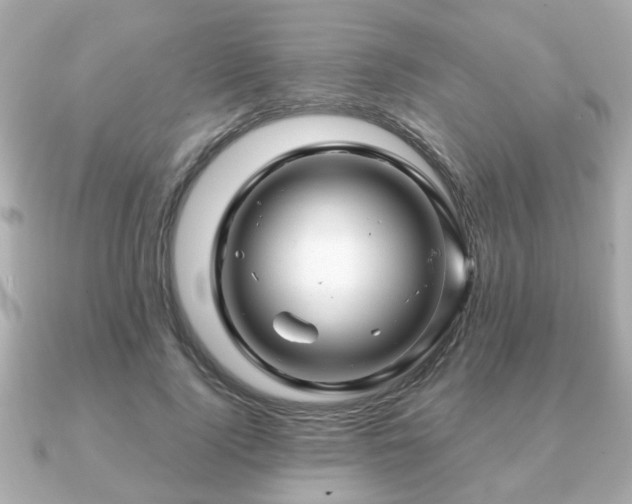 X0000090960740200708091354