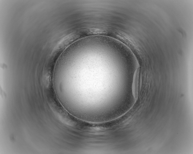 X0000090960741200708091354