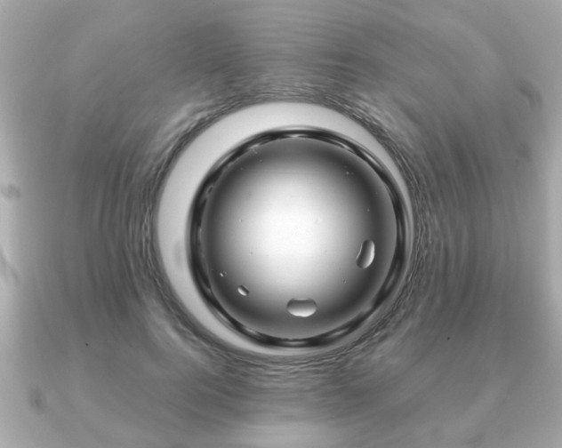X0000090960744200708091354