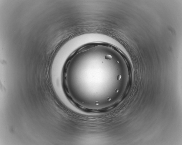 X0000090960746200708091354