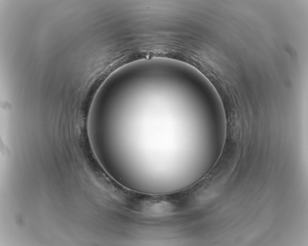 X0000090960747200708091354