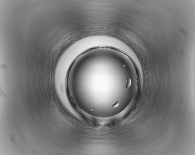 X0000090960748200708091354